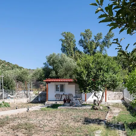 Adam House-castle View Toroni