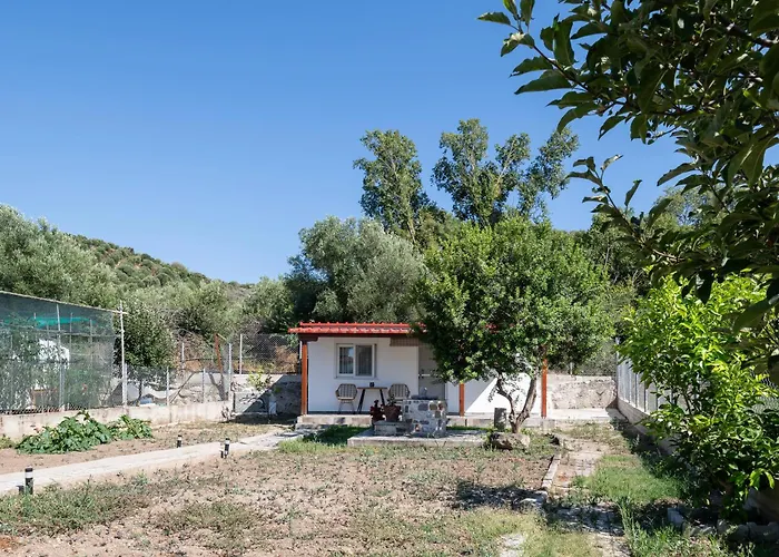 Adam House-castle View Torone