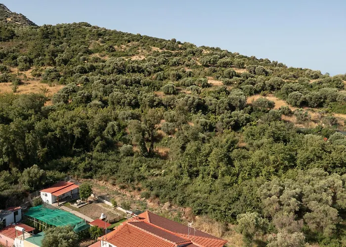 Adam House-castle View * Torone